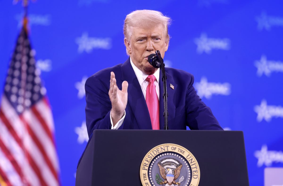 Movie Review: The Apprentice Digs Into the Culture That Created Trump